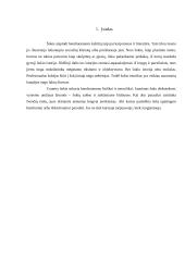 Country šokis 3 puslapis