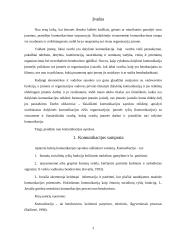 Dalykinės komunikacijos reikšmė formuojant įmonės įvaizdį 3 puslapis