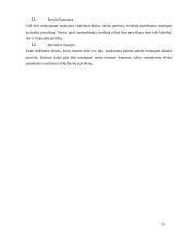 Danties spalvos nustatymo metodai ir vertinimas 13 puslapis