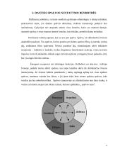 Danties spalvos nustatymo metodai ir vertinimas 5 puslapis