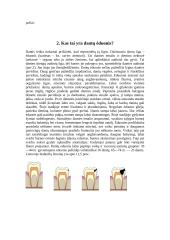 Dantys, dantų ėduonis 3 puslapis