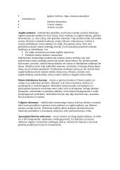 Dantys, dantų ėduonis 5 puslapis