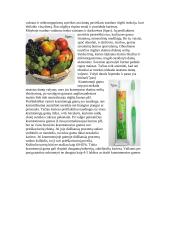 Dantys, dantų ėduonis 10 puslapis