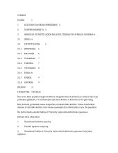 Azijos kultūra ir ugdymas