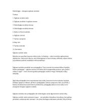 Edukologija – žmogaus ugdymo mokslas