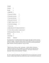 Gimnazijos, jų ypatumai ir specifika