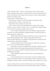 Darbų saugos organizavimas įmonėje: UAB "Trikampis žiedas" 2 puslapis