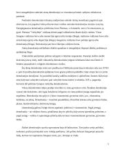 Demokratija ir demokratijos istorija 5 puslapis