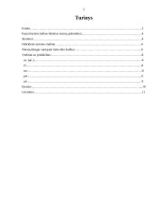 Dokumentų kalba 2 puslapis