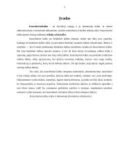 Dokumentų kalba 3 puslapis