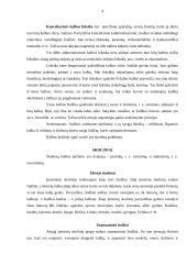 Dokumentų kalba 4 puslapis