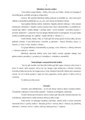 Dokumentų kalba 6 puslapis