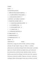 Narkotikų vartojimas, kaip jaunimo socializacijos veiksnys