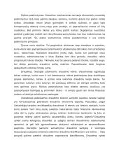 Draudimas, draudimo formos ir rūšys 4 puslapis