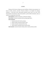 Draudimo kompanijų teikiamų paslaugų analizė 2 puslapis