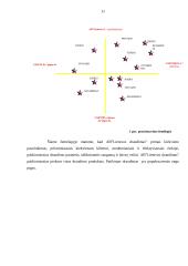 Draudimo kompanijų teikiamų paslaugų analizė 11 puslapis