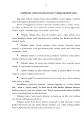 Draudimo kompanijų teikiamų paslaugų analizė 4 puslapis