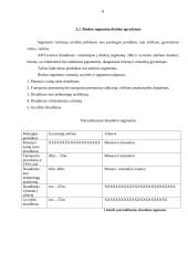 Draudimo kompanijų teikiamų paslaugų analizė 8 puslapis