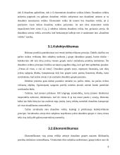 Draudimo veikla. Požymiai, reikšmė, skirstymas 6 puslapis