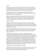 Pedagogo vaidmuo mokykloje ir visuomenėje