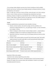 Džono Stiuarto Milio utilitarizmas 6 puslapis