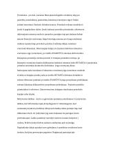 Raštvedybos pagrindiniai dokumentai