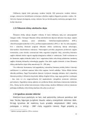 Ekologiniai rizikos veiksniai įtakojantys nacionalinį saugumą 11 puslapis