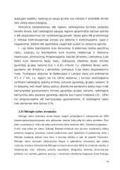 Ekologiniai rizikos veiksniai įtakojantys nacionalinį saugumą 13 puslapis