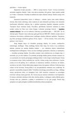 Ekstremalios situacijos 4 puslapis