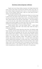 Ekstremalios situacijos 7 puslapis