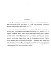 Elektra ir jos gaminimo būdai 2 puslapis