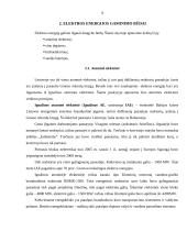 Elektra ir jos gaminimo būdai 9 puslapis