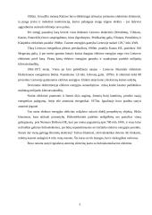 Didžiausios elektrinės Lietuvoje 3 puslapis