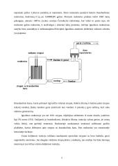 Didžiausios elektrinės Lietuvoje 5 puslapis