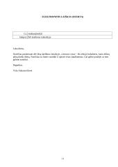 Elektroninis dokumentas ir elektroninė dokumentų apyvarta 11 puslapis