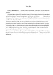 Elektroninis dokumentas ir elektroninė dokumentų apyvarta 3 puslapis