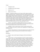 Ugdymo proceso specifika