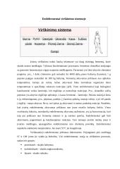 Endofermentai žmogaus virškinime 4 puslapis