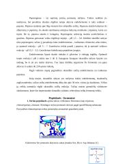 Endofermentai žmogaus virškinime 6 puslapis