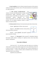 Endofermentai žmogaus virškinime 7 puslapis