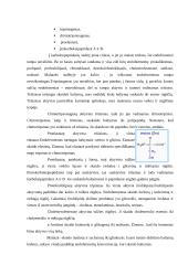 Endofermentai žmogaus virškinime 8 puslapis