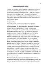 Energetika Lietuvoje 3 puslapis
