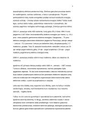 Energetika Lietuvoje 4 puslapis