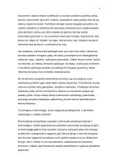 Energetika Lietuvoje 5 puslapis