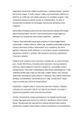 Energetika Lietuvoje 6 puslapis