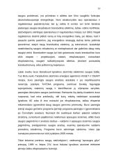 Energetika Lietuvoje 10 puslapis