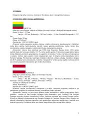 Energetinių sistemų ir technologijų užduotis 2 puslapis