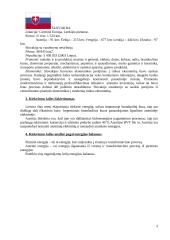 Energetinių sistemų ir technologijų užduotis 3 puslapis