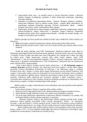 Ergonomiška buhalterio darbo vieta 15 puslapis