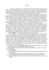 Ergonomiška buhalterio darbo vieta 2 puslapis
